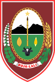 logo kabupaten boyolali png